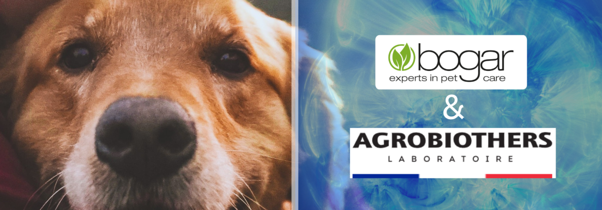 Agrobiothers und Bogar AG_Communication